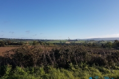 007
